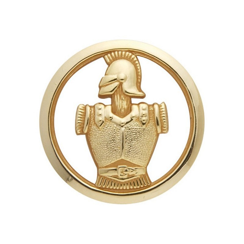 Insigne De Béret Génie Or 01 Insigne De Béret Génie Or 01