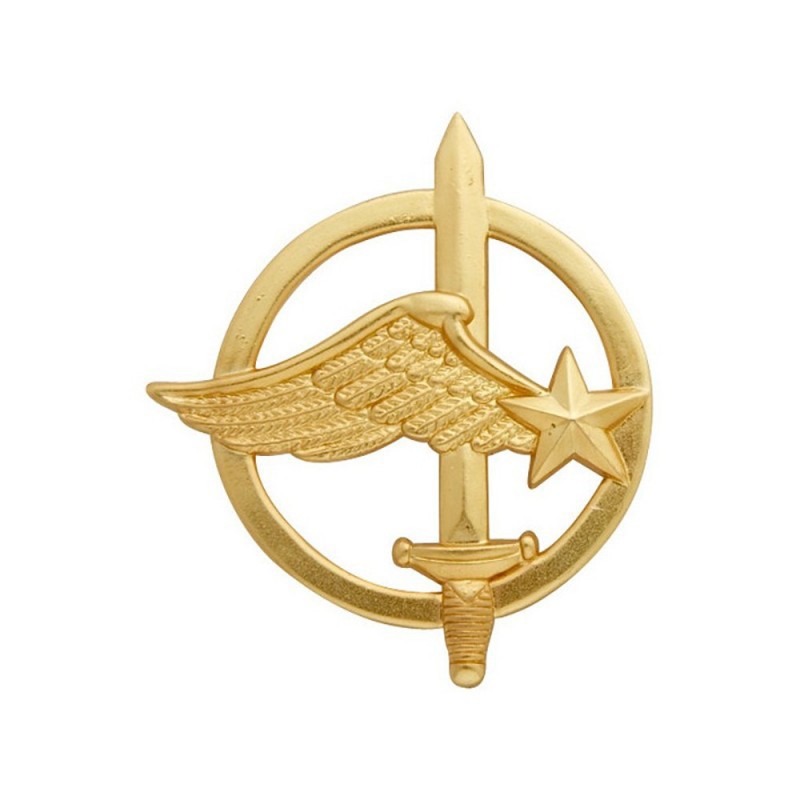 Insigne De Béret Commando De L'Air Or 01